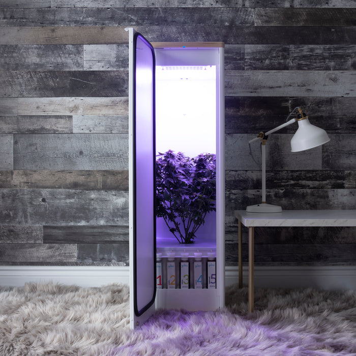 Grobo Solid Grow Box
